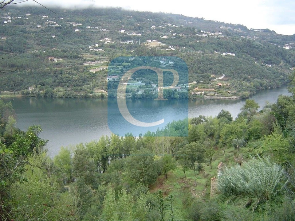 Terreno para Venda em São Cristovão de Nogueira Foto 1