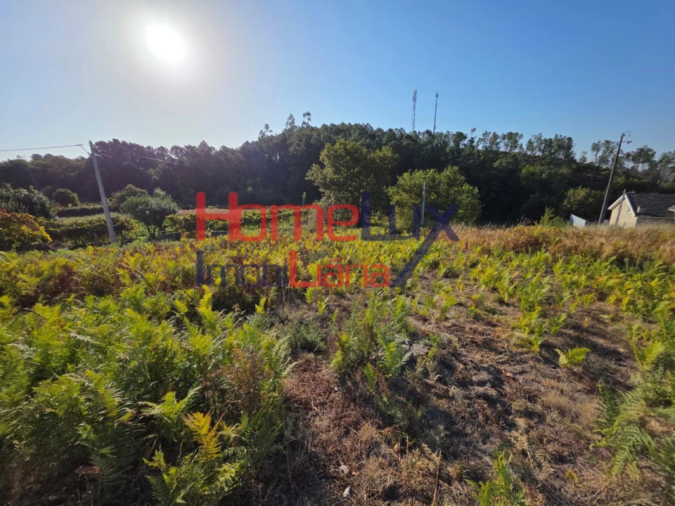 Terreno para Venda em Castro Daire Foto 2