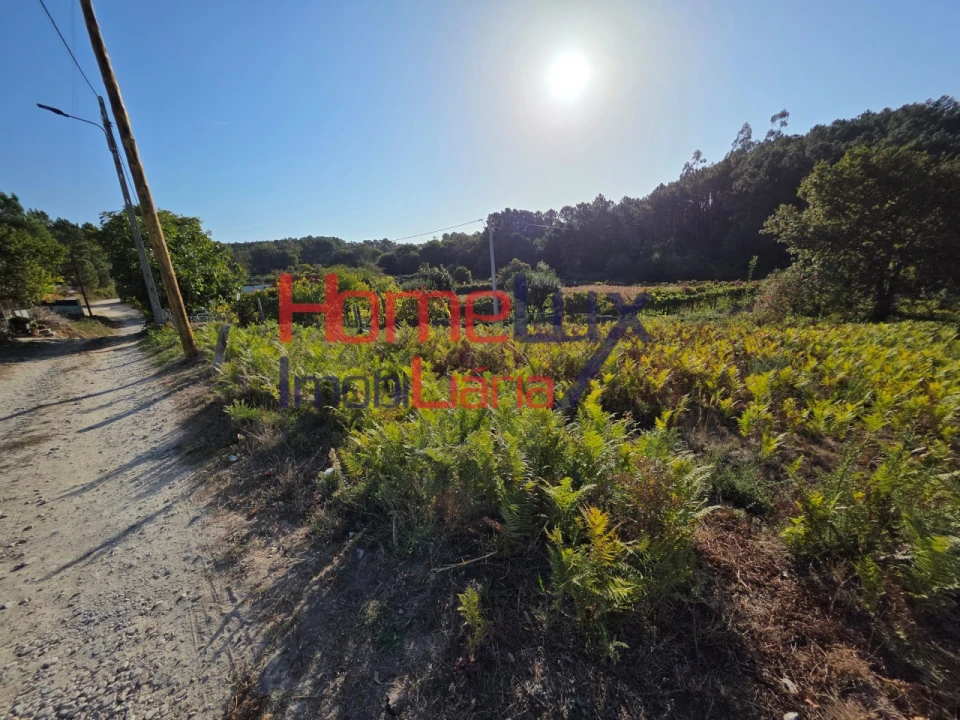 Terreno para Venda em Castro Daire Foto 5