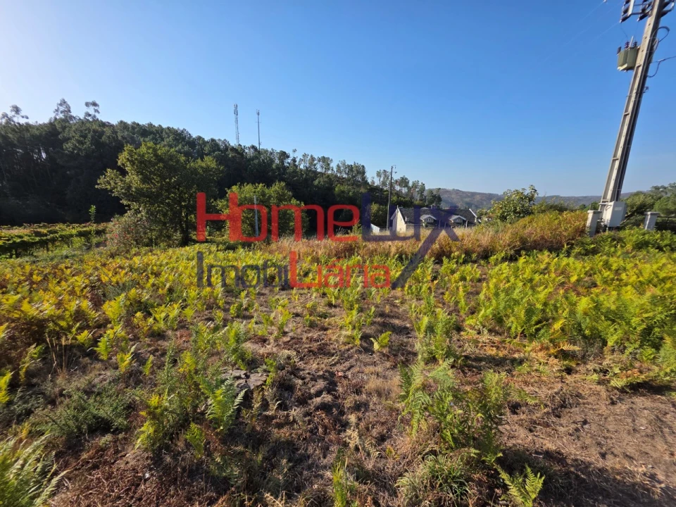 Terreno para Venda em Castro Daire Foto 7