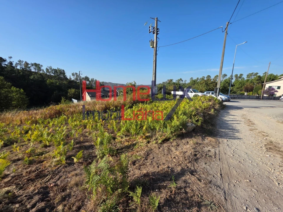 Terreno para Venda em Castro Daire Foto 10
