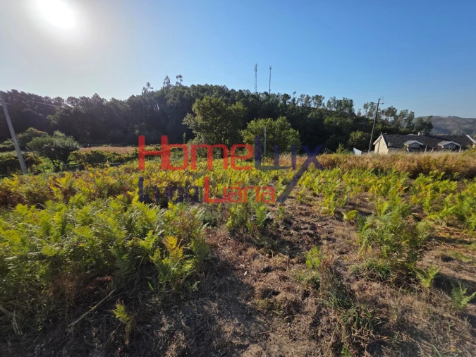 Terreno para Venda em Castro Daire Foto 3