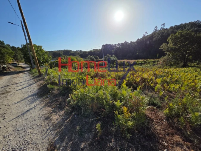 Terreno para Venda em Castro Daire Foto 5