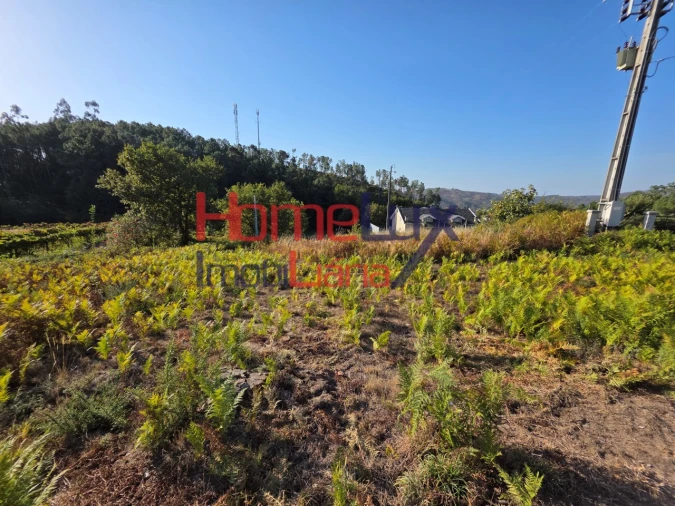 Terreno para Venda em Castro Daire Foto 6