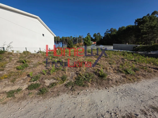 Terreno para Venda em Castro Daire Foto 9