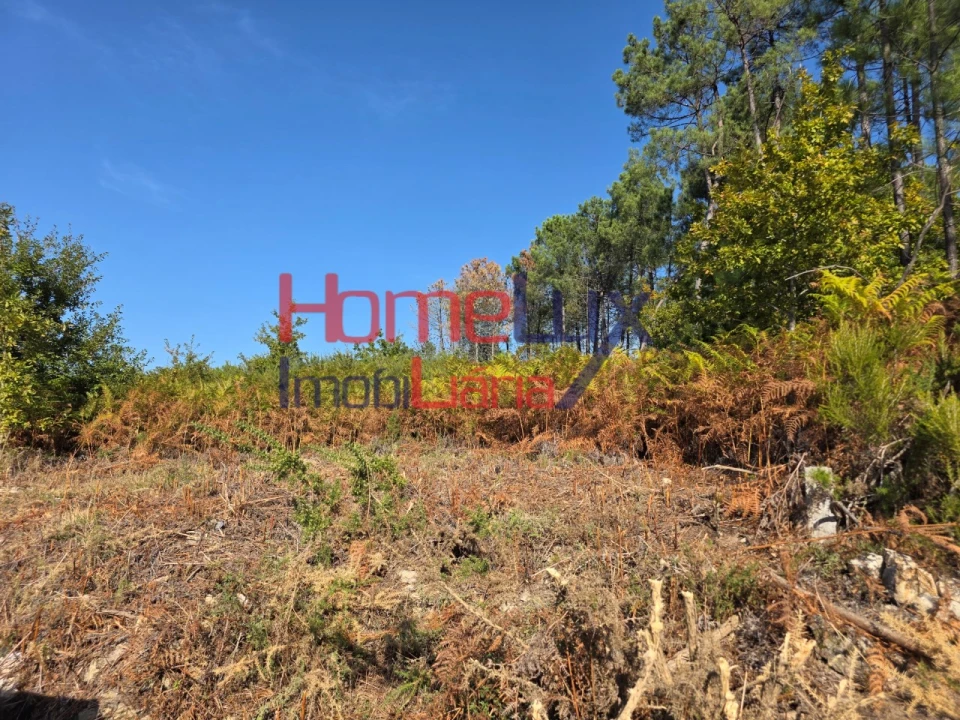 Terreno para Venda em Castro Daire Foto 2