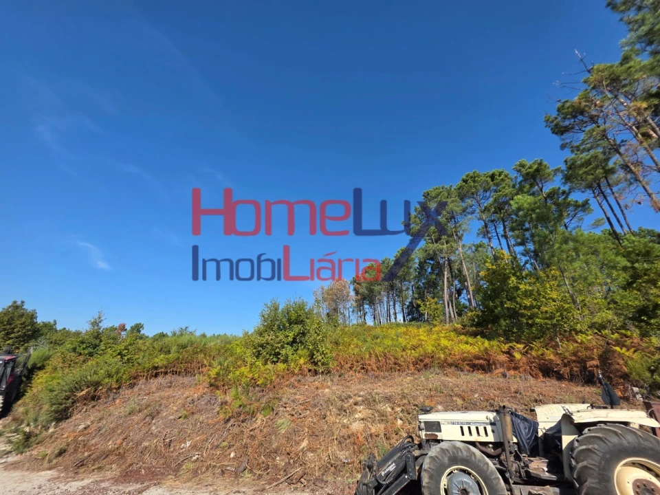 Terreno para Venda em Castro Daire Foto 6