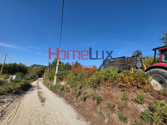 Terreno para Venda em Castro Daire Foto 1