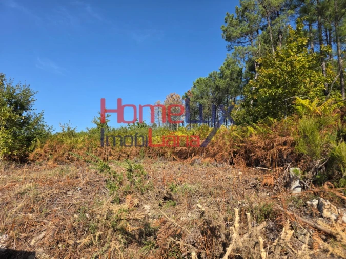 Terreno para Venda em Castro Daire Foto 2