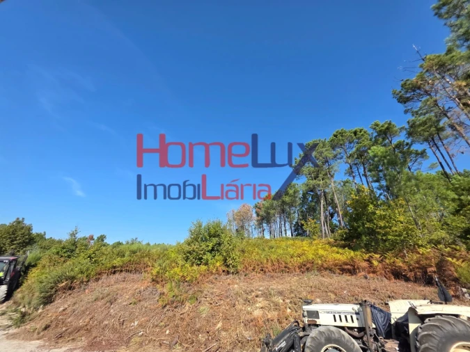 Terreno para Venda em Castro Daire Foto 7