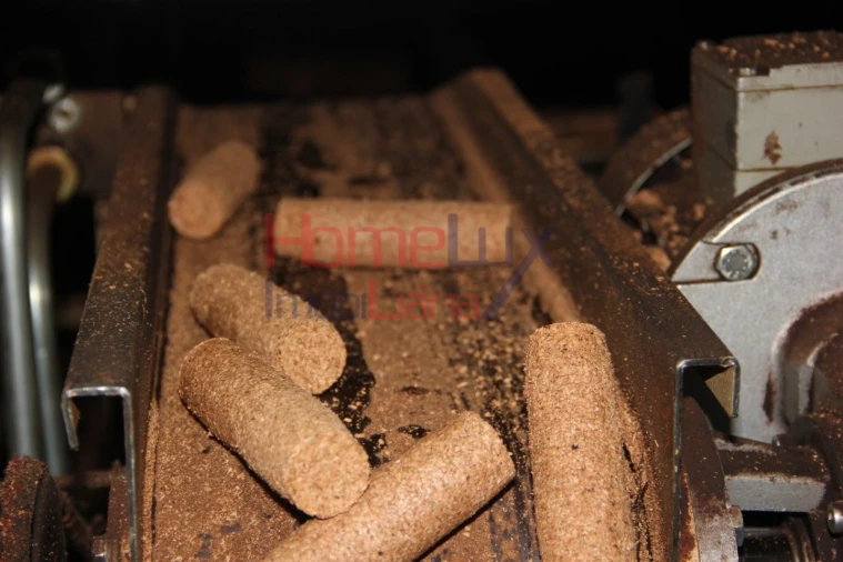 Armazém para Venda em Gavião e Atalaia Foto 52