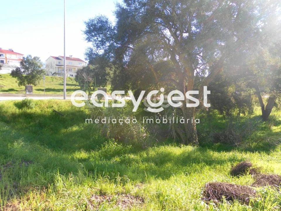 Terreno para Venda em Nossa Sra de Fatima Foto 8