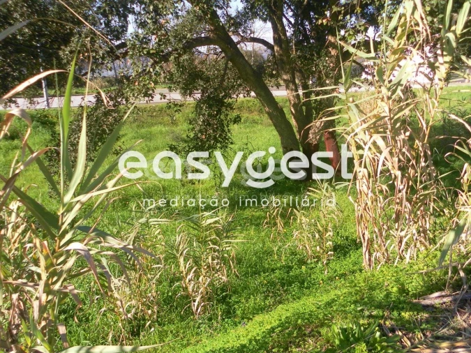 Terreno para Venda em Nossa Sra de Fatima