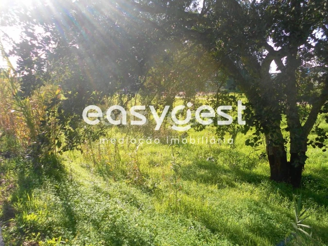 Terreno para Venda em Nossa Sra de Fatima Foto 3