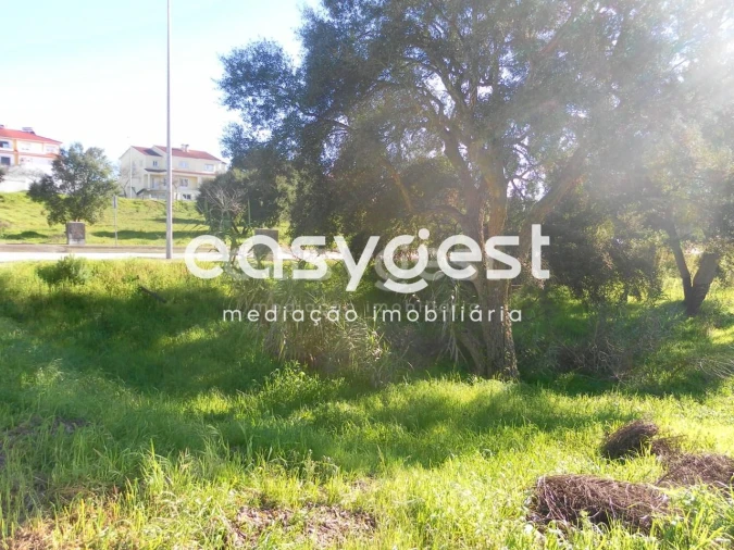 Terreno para Venda em Nossa Sra de Fatima Foto 8