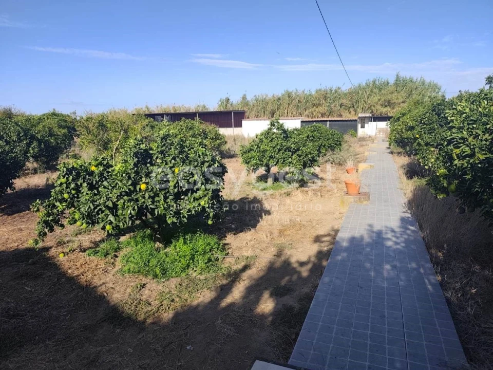 Quinta T2 para Venda em Faro do Alentejo Foto 6