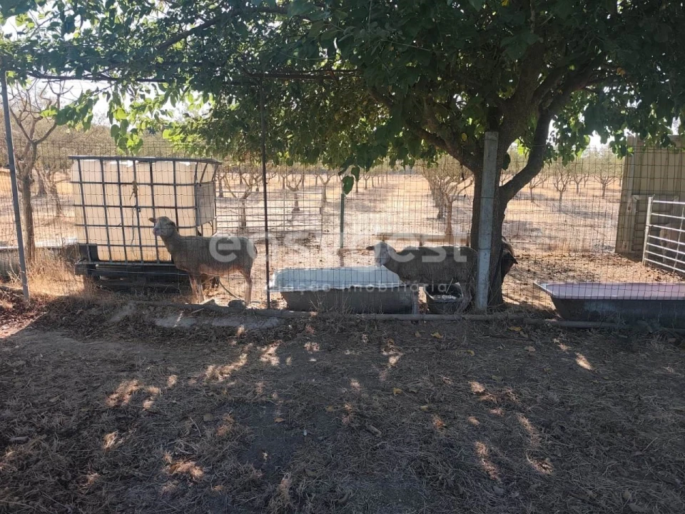 Quinta T2 para Venda em Faro do Alentejo Foto 32