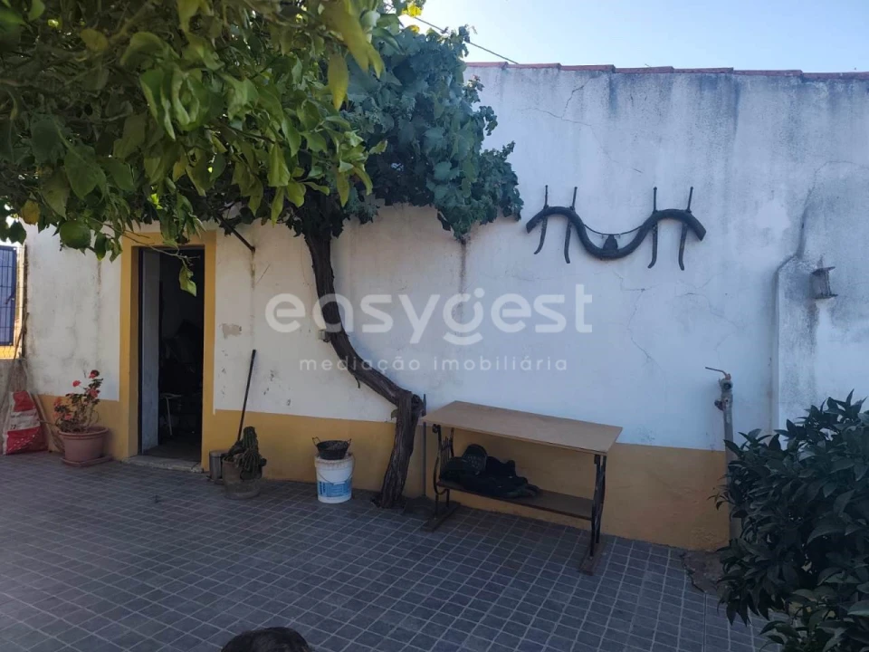 Quinta T2 para Venda em Faro do Alentejo Foto 33