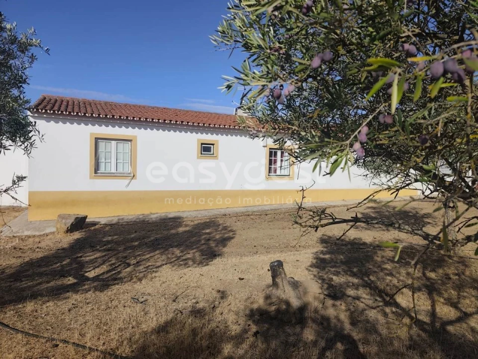 Quinta T2 para Venda em Faro do Alentejo Foto 34