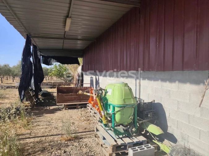 Quinta T2 para Venda em Faro do Alentejo Foto 8