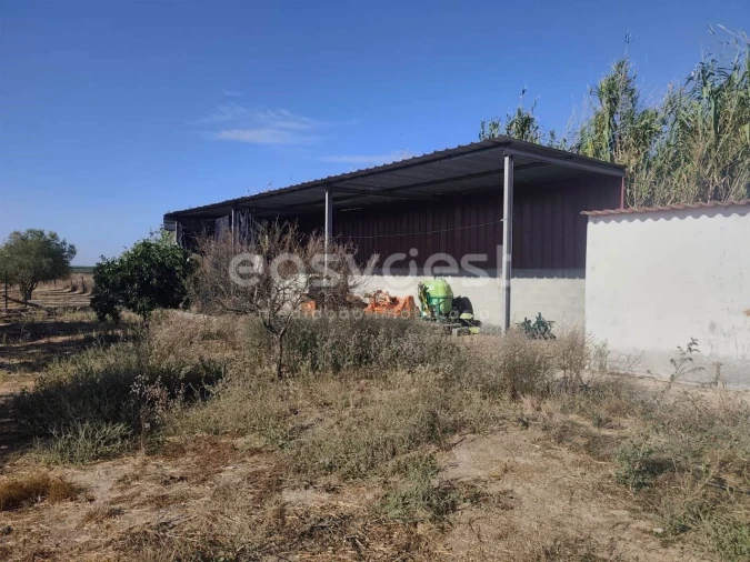 Quinta T2 para Venda em Faro do Alentejo Foto 10