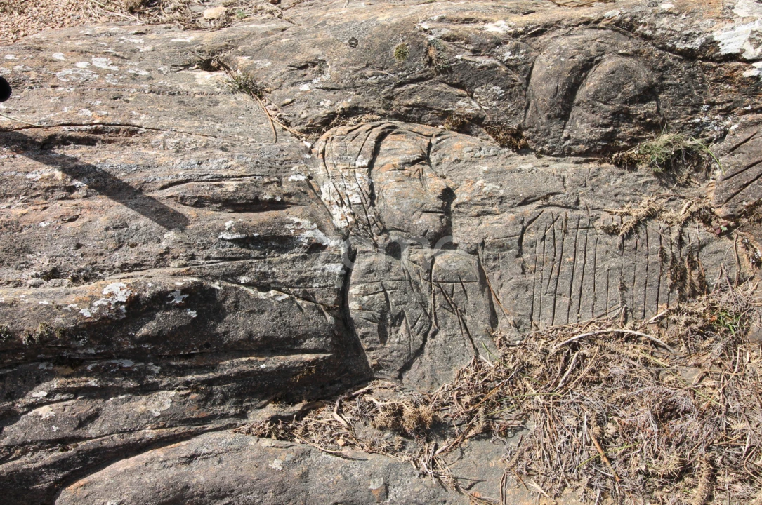 Moradia T2 para Venda em Arga (Baixo, Cima e São João) Foto 8