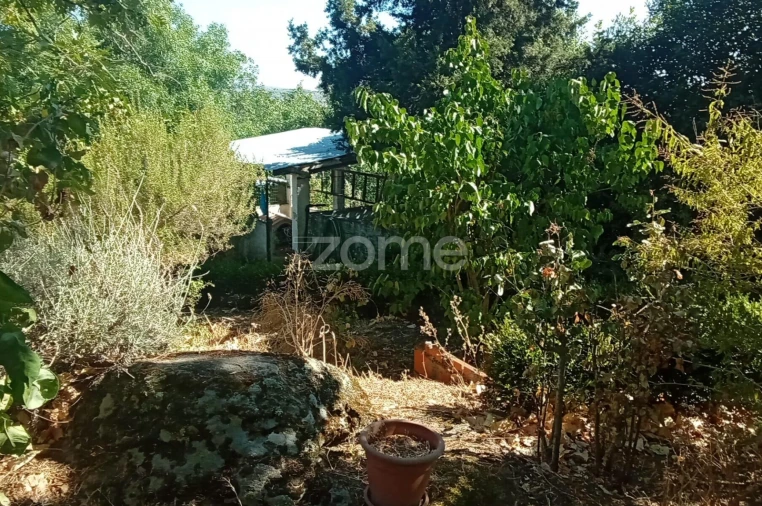 Moradia T2 para Venda em Trancoso (São Pedro e Santa Maria) e Souto Maior Foto 32