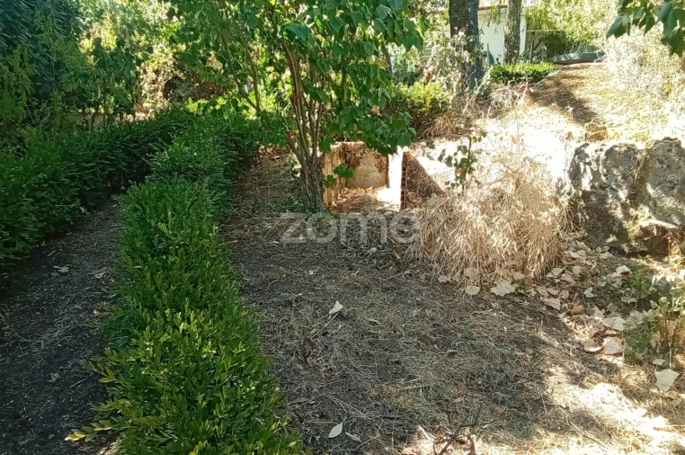 Moradia T2 para Venda em Trancoso (São Pedro e Santa Maria) e Souto Maior Foto 29