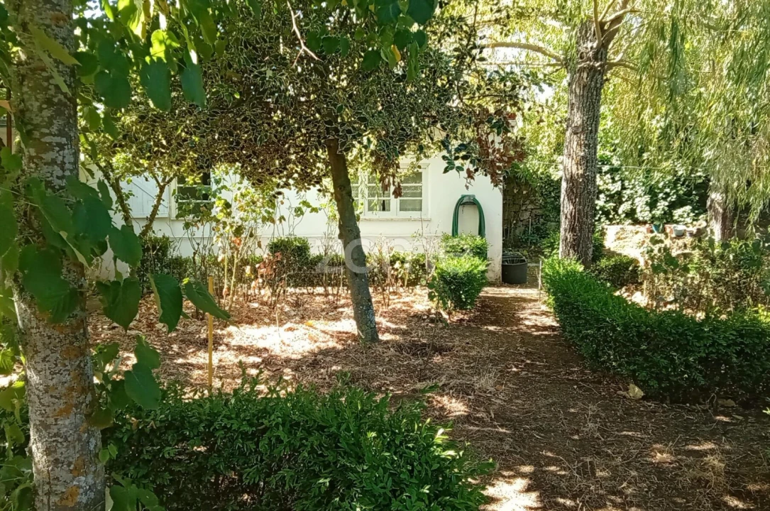 Moradia T2 para Venda em Trancoso (São Pedro e Santa Maria) e Souto Maior Foto 27