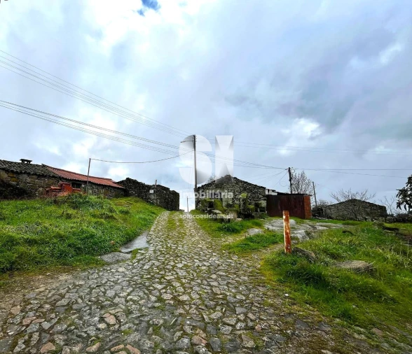 Terreno para Venda em Mouçós e Lamares Foto 16