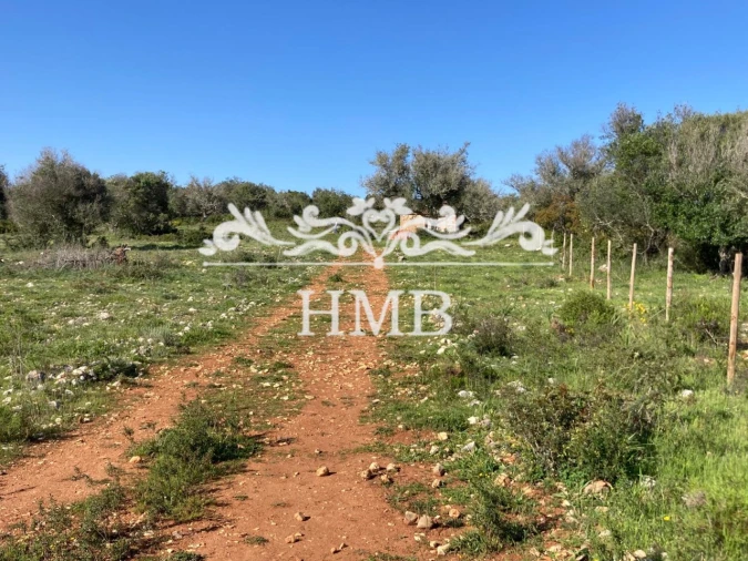 Terreno para Venda em Mexilhoeira Grande Foto 8