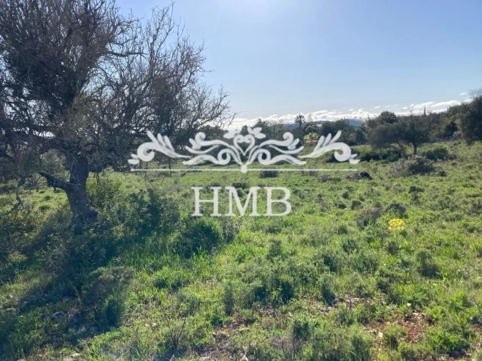 Terreno para Venda em Mexilhoeira Grande Foto 10