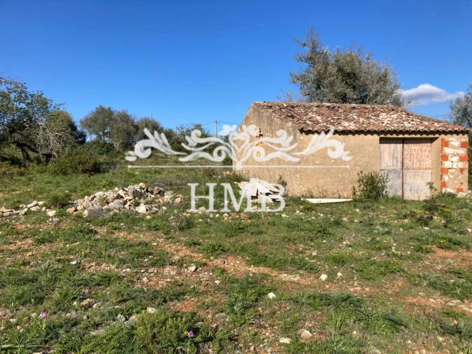 Terreno para Venda em Mexilhoeira Grande Foto 1