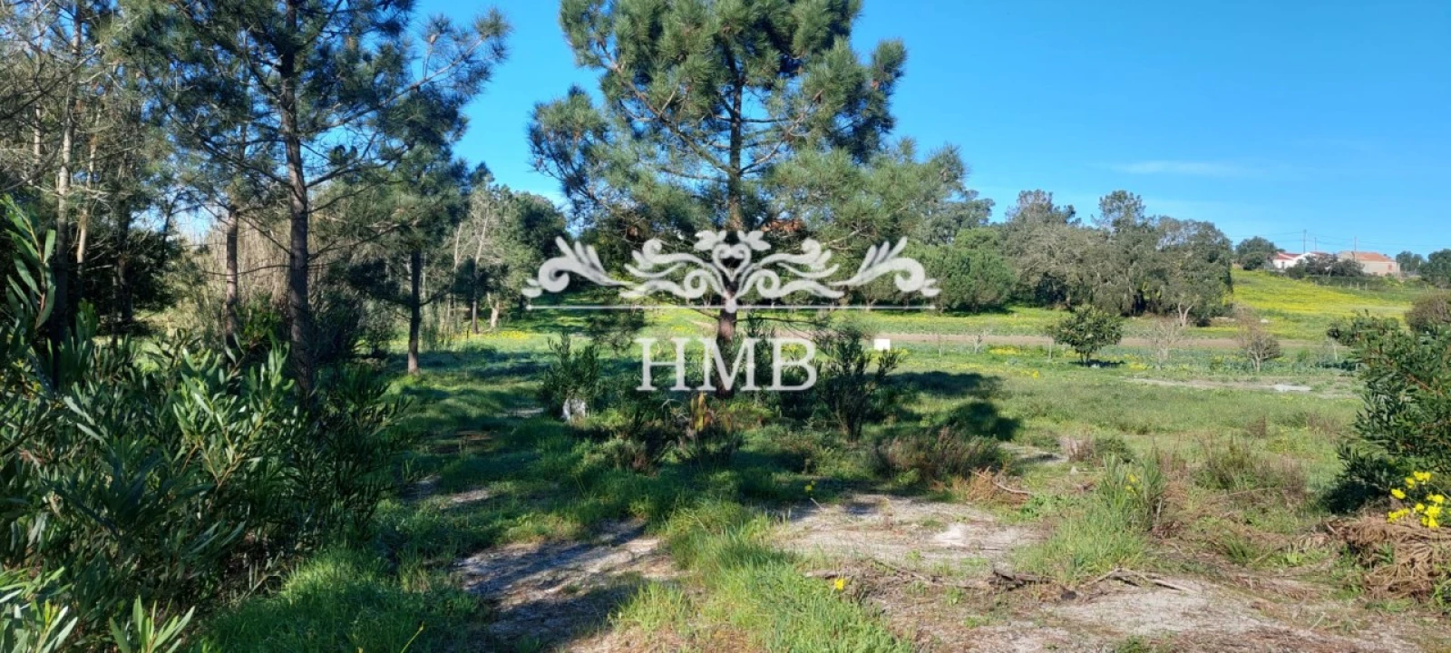 Terreno para Venda em Rogil Foto 14