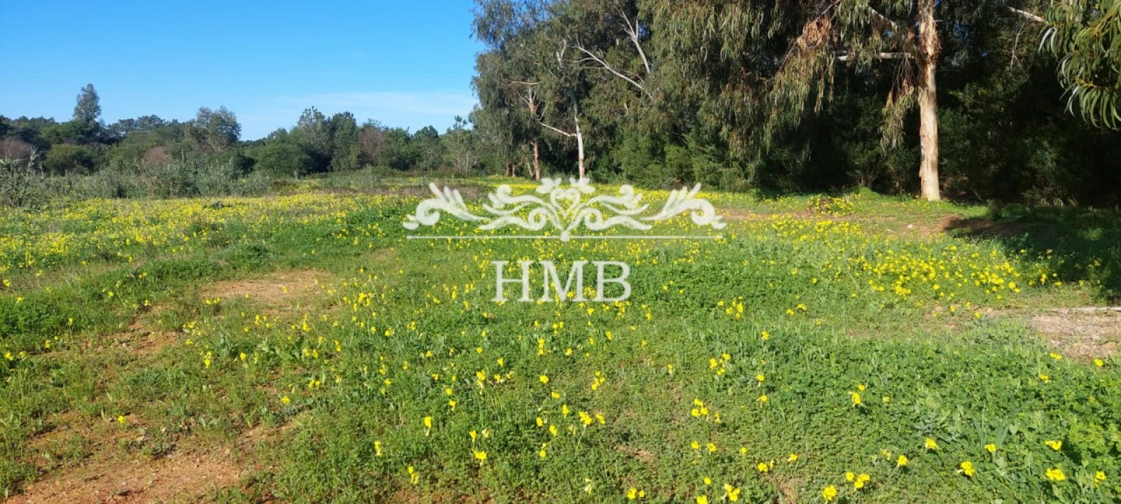 Terreno para Venda em Rogil Foto 15