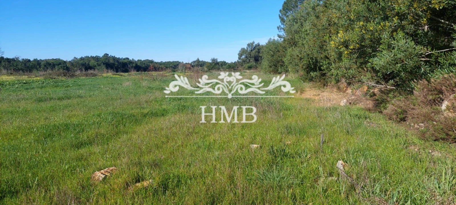 Terreno para Venda em Rogil Foto 17