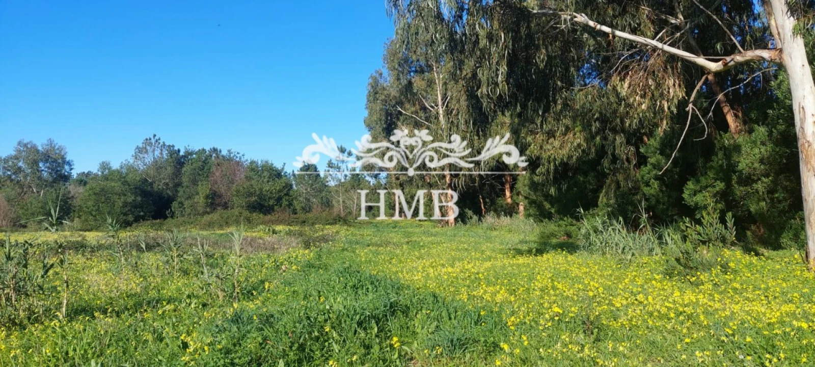 Terreno para Venda em Rogil Foto 20