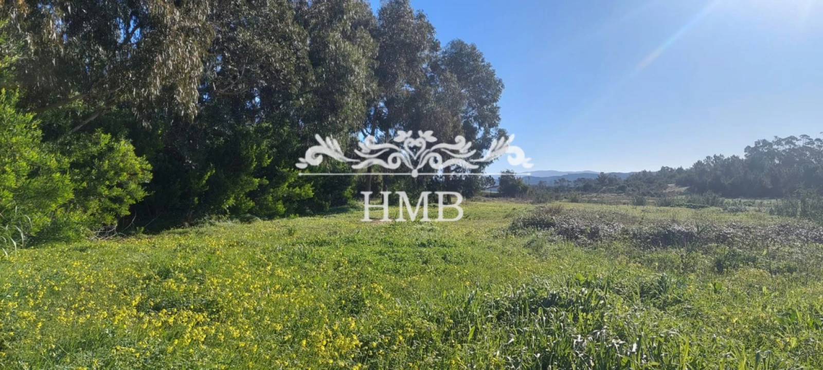 Terreno para Venda em Rogil Foto 21