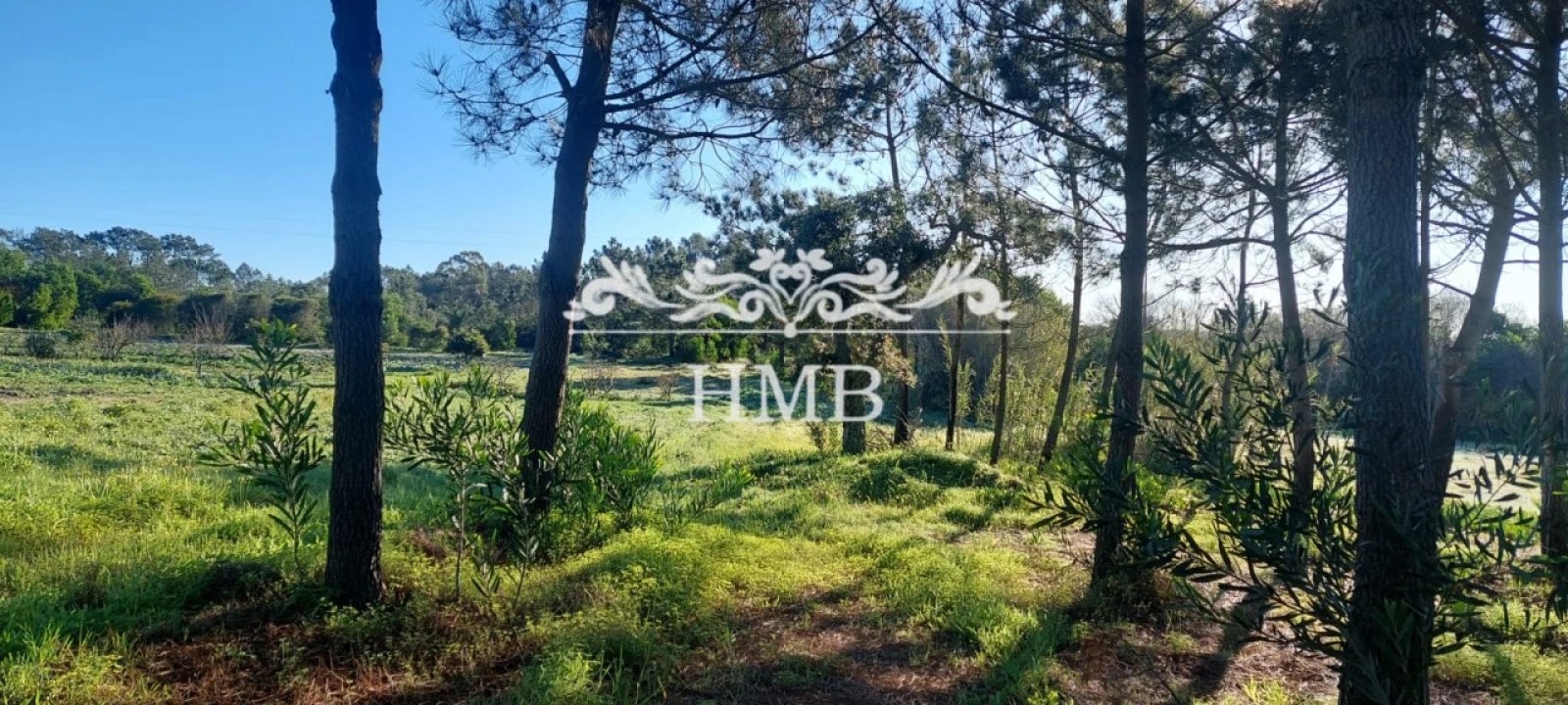 Terreno para Venda em Rogil Foto 1