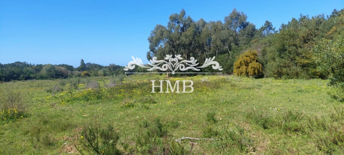 Terreno para Venda em Rogil Foto 9