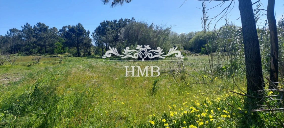 Terreno para Venda em Rogil Foto 10