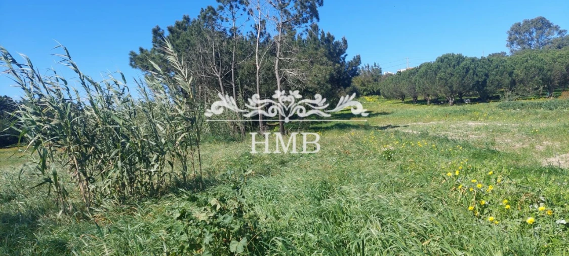 Terreno para Venda em Rogil Foto 12