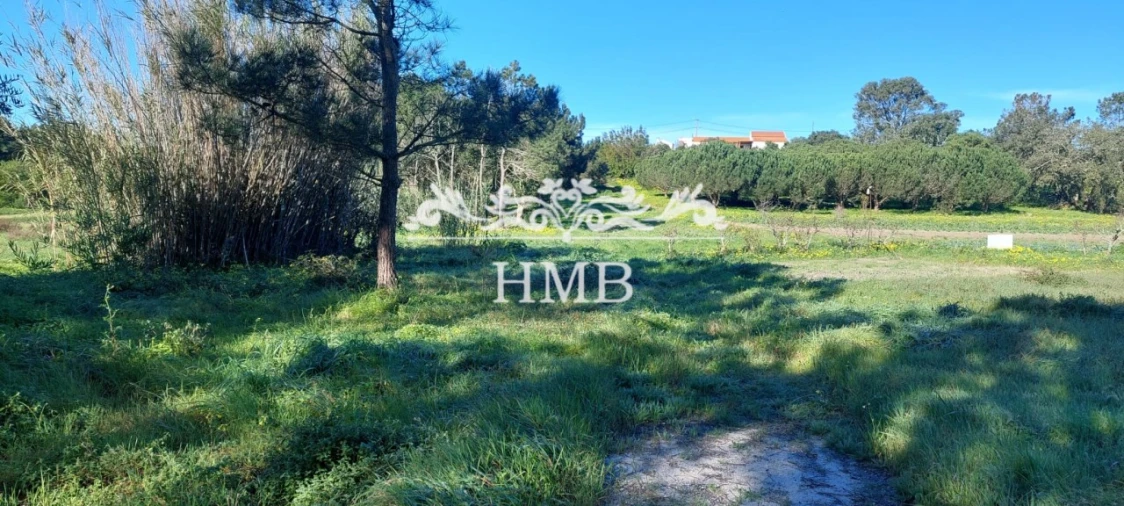 Terreno para Venda em Rogil Foto 13