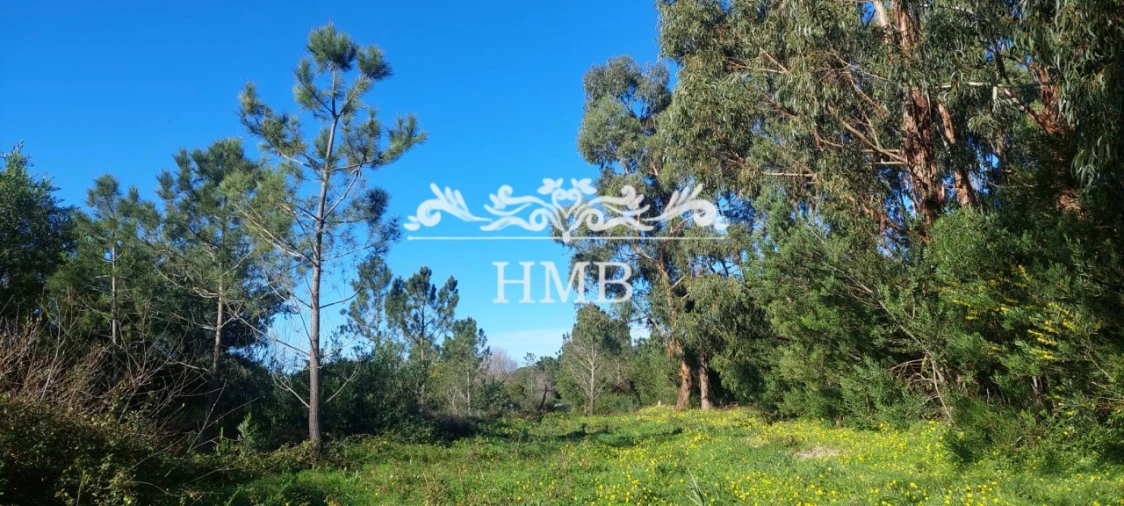 Terreno para Venda em Rogil Foto 16