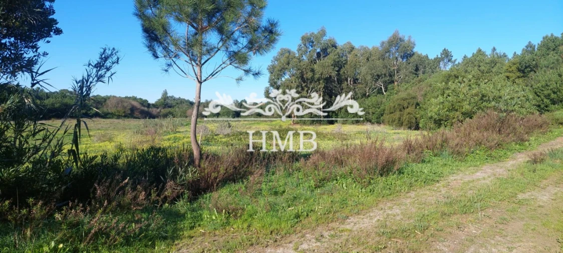 Terreno para Venda em Rogil Foto 19