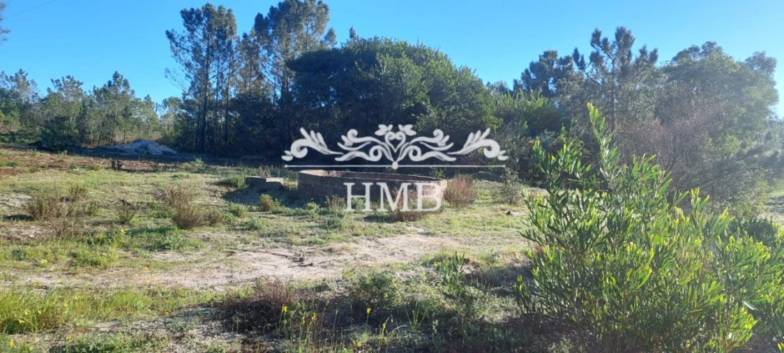 Terreno para Venda em Rogil Foto 24