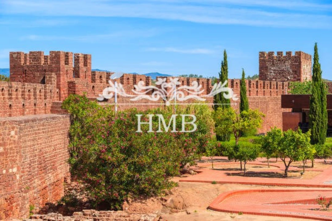 Terreno para Venda em Silves Foto 8