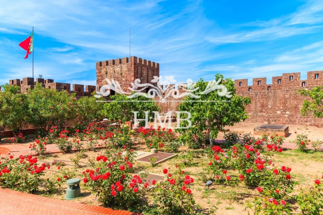Terreno para Venda em Silves Foto 9