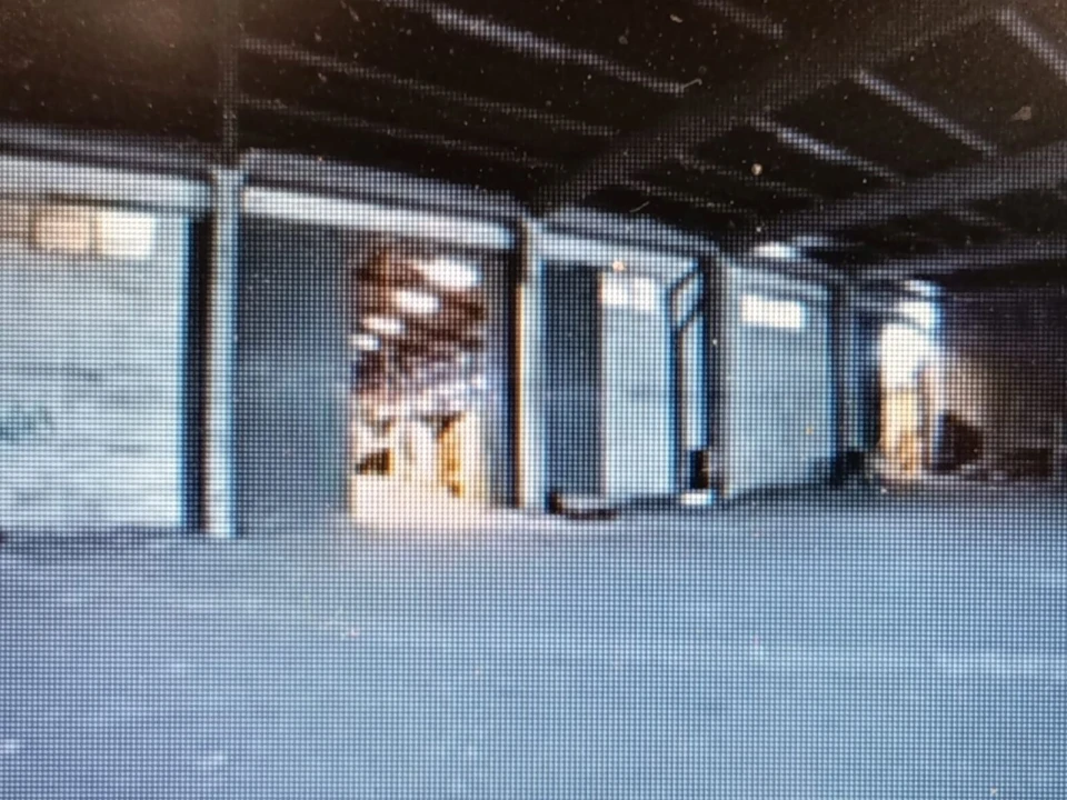 Armazém para Venda em Agualva e Mira-Sintra Foto 4