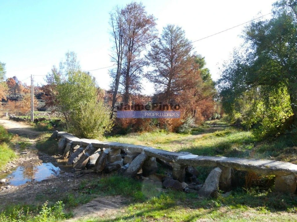 Terreno para Venda em Rapoula do Coa Foto 5